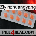 Ziyinzhuangyang 26